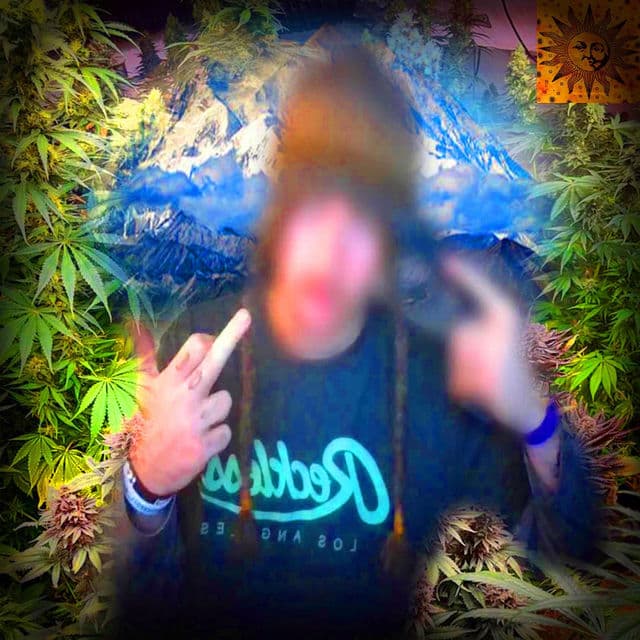 THE PEAK cover